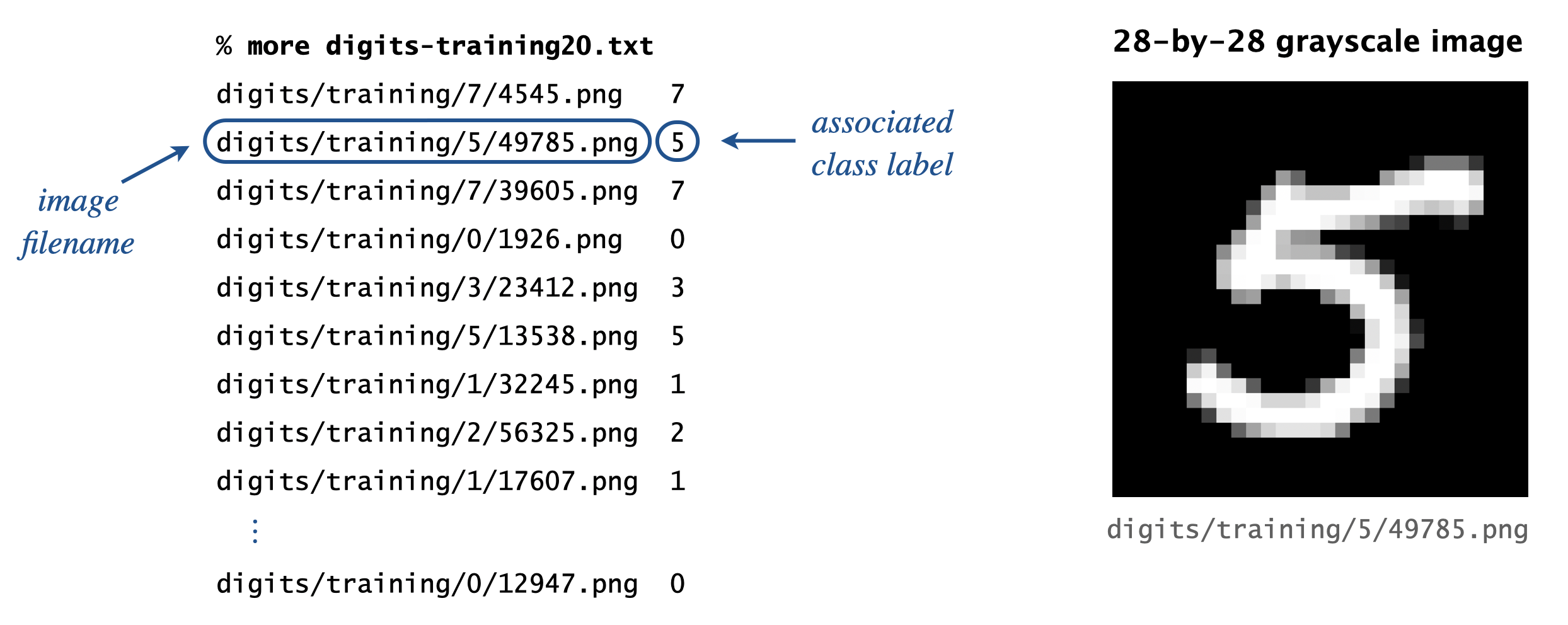 Input file format