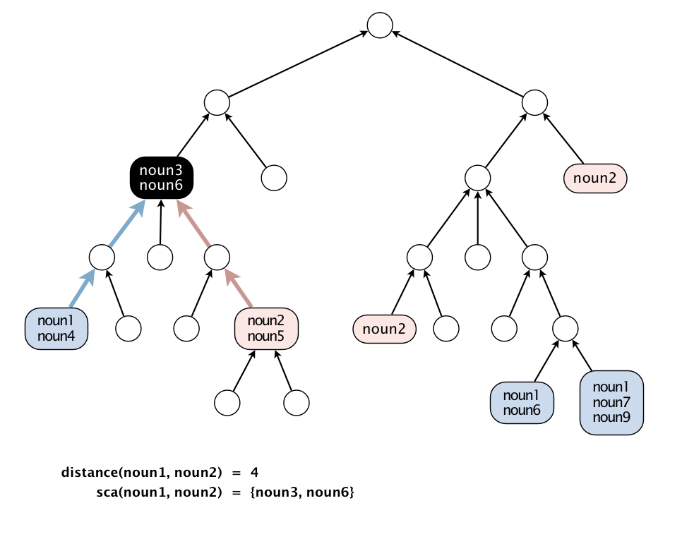 wordnet-assignment