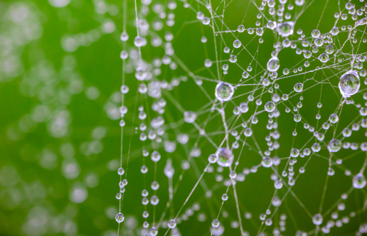 decorative image of droplets