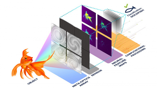 Schematic diagram showing, from left, a goldfish, a panel of four lenses with dots and swirls, a panel of small squares, a panel of four blurred images of goldfish, several layers of gray squares, and a final cartoon drawing of a fish labeled "Classification: Goldfish"